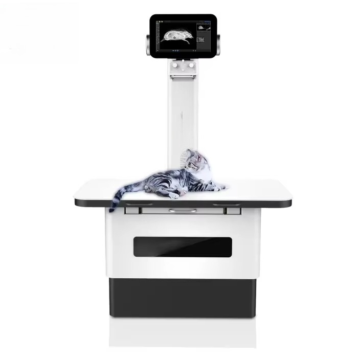 Professional digital pet X-ray - đánh giá và giá Photography X Ray
